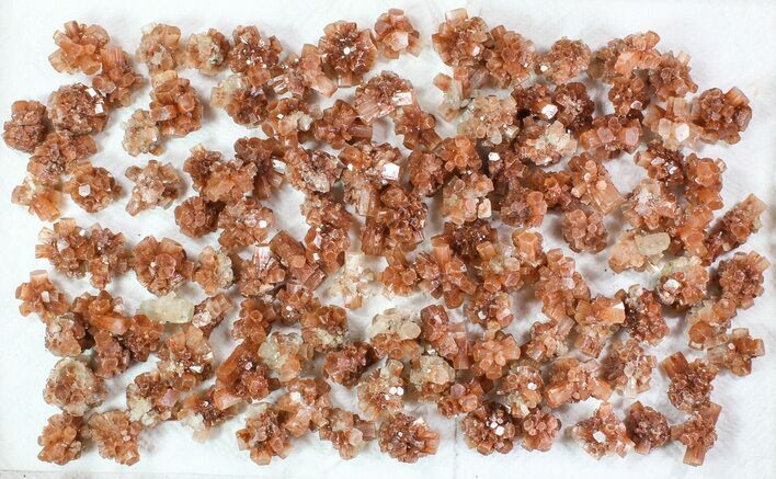 Lot: Small Twinned Aragonite Crystals - Pieces #78110
